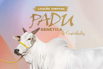 LEILÃO VIRTUAL PADU GENÉTICA & CONVIDADOS